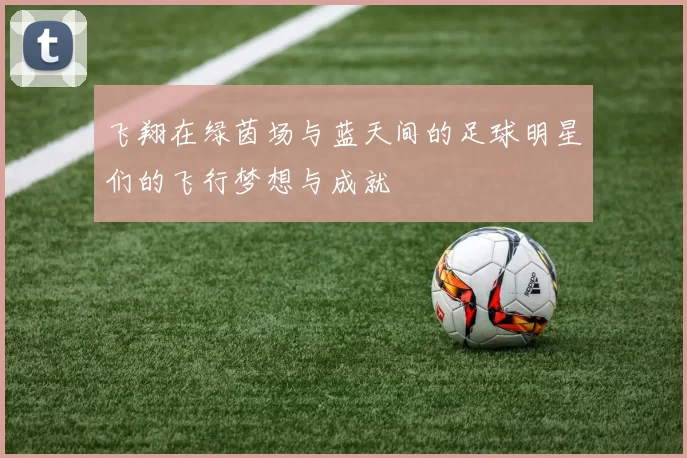 飞翔在绿茵场与蓝天间的足球明星们的飞行梦想与成就