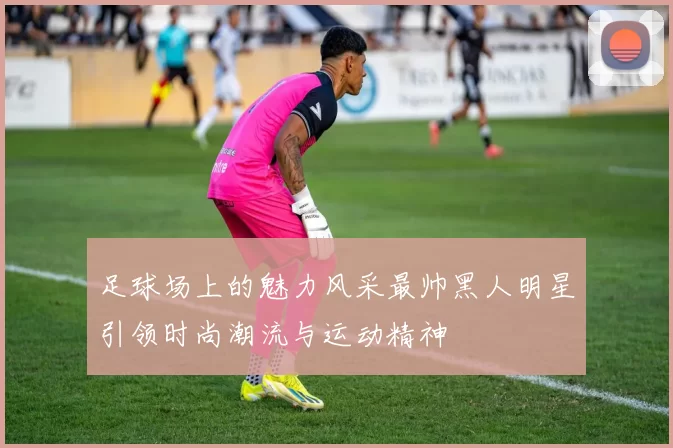 足球场上的魅力风采最帅黑人明星引领时尚潮流与运动精神
