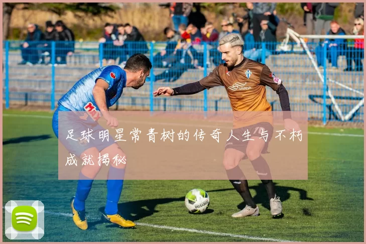 足球明星常青树的传奇人生与不朽成就揭秘