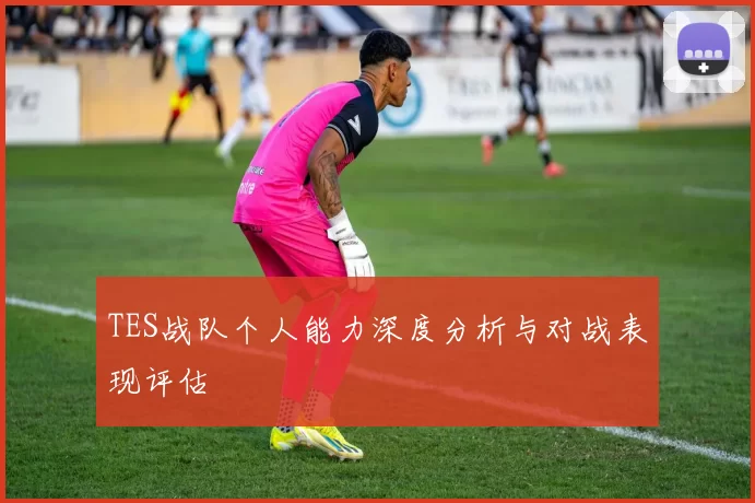 TES战队个人能力深度分析与对战表现评估