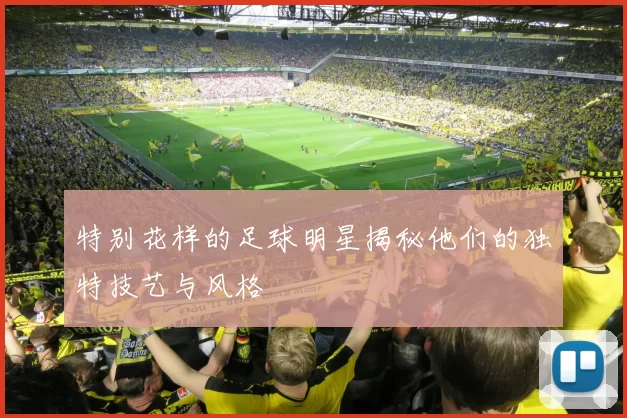 特别花样的足球明星揭秘他们的独特技艺与风格