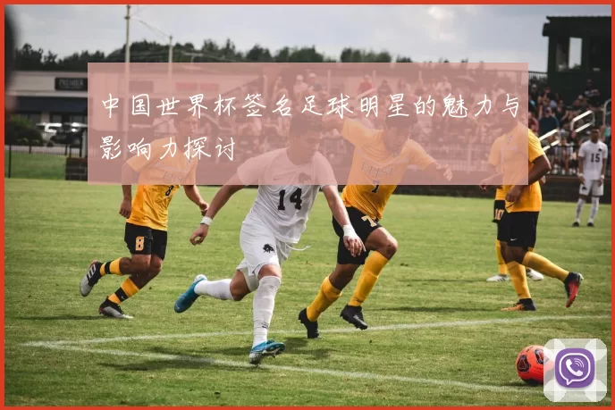 中国世界杯签名足球明星的魅力与影响力探讨