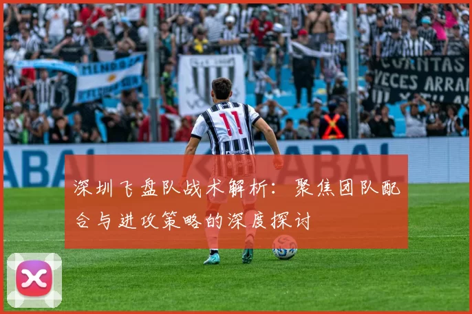 深圳飞盘队战术解析：聚焦团队配合与进攻策略的深度探讨