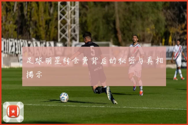 足球明星转会费背后的秘密与真相揭示