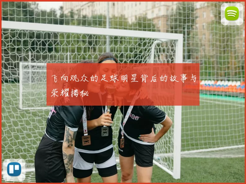 飞向观众的足球明星背后的故事与荣耀揭秘