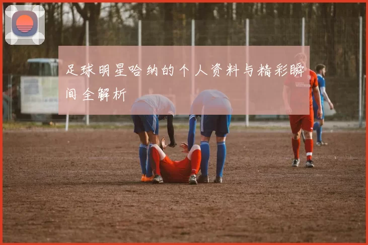 足球明星哈纳的个人资料与精彩瞬间全解析