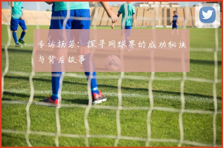 专访杨芳：探寻网球界的成功秘诀与背后故事