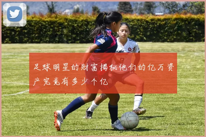 足球明星的财富揭秘他们的亿万资产究竟有多少个亿