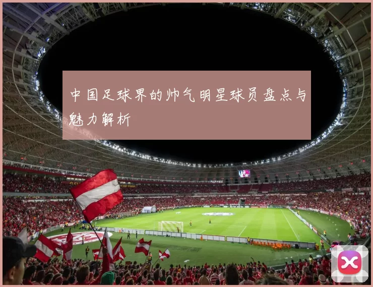 中国足球界的帅气明星球员盘点与魅力解析