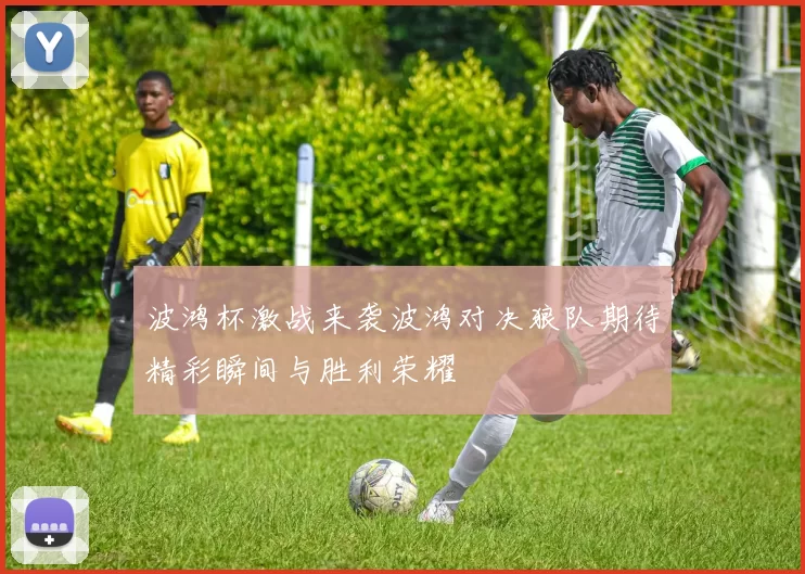 波鸿杯激战来袭波鸿对决狼队期待精彩瞬间与胜利荣耀