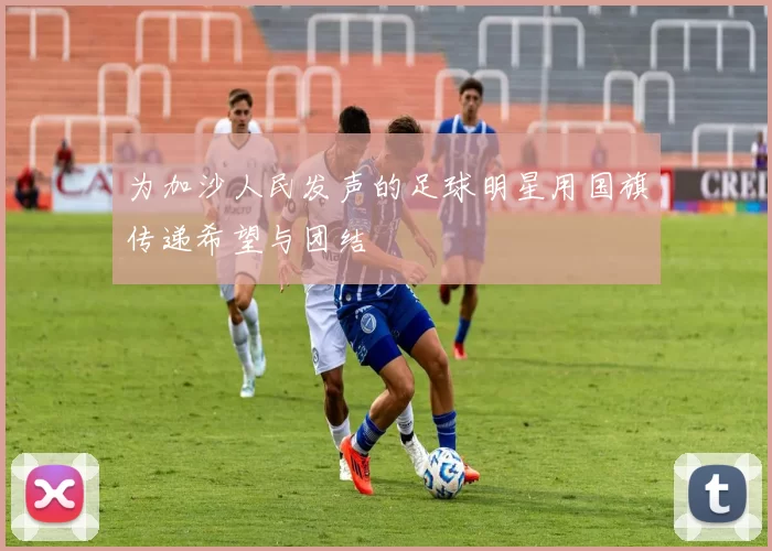 为加沙人民发声的足球明星用国旗传递希望与团结