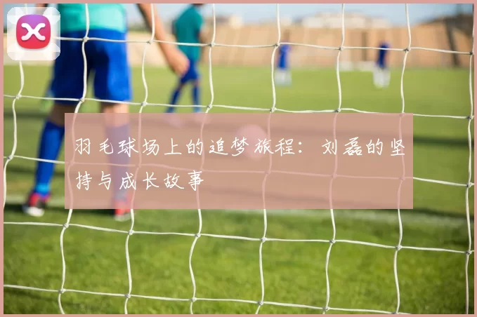 羽毛球场上的追梦旅程：刘磊的坚持与成长故事