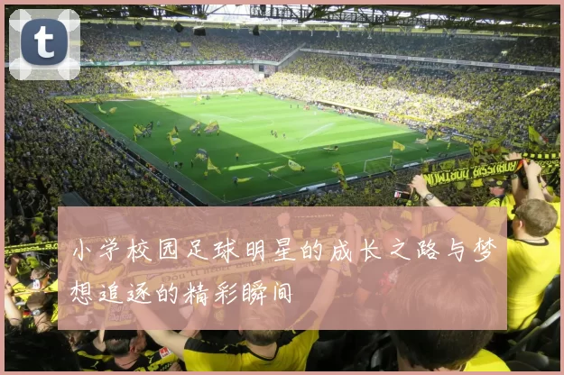 小学校园足球明星的成长之路与梦想追逐的精彩瞬间