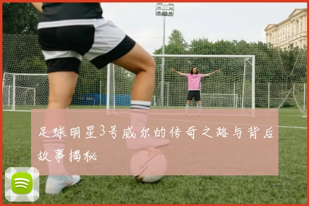 足球明星3号威尔的传奇之路与背后故事揭秘