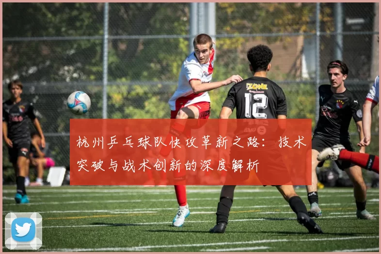 杭州乒乓球队快攻革新之路：技术突破与战术创新的深度解析
