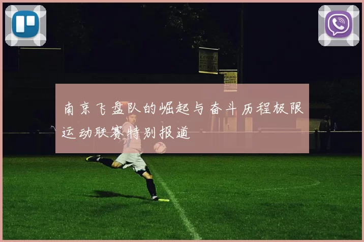 南京飞盘队的崛起与奋斗历程极限运动联赛特别报道