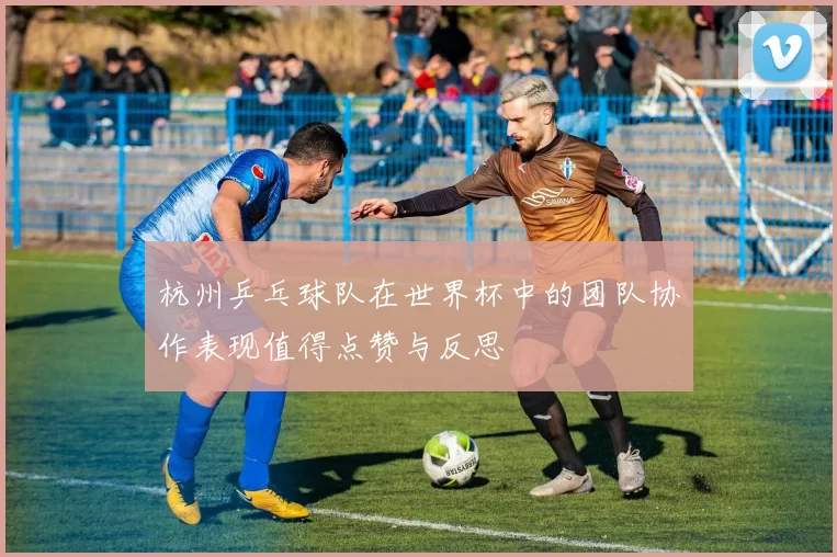 杭州乒乓球队在世界杯中的团队协作表现值得点赞与反思