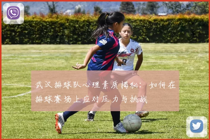 武汉排球队心理素质揭秘：如何在排球赛场上应对压力与挑战