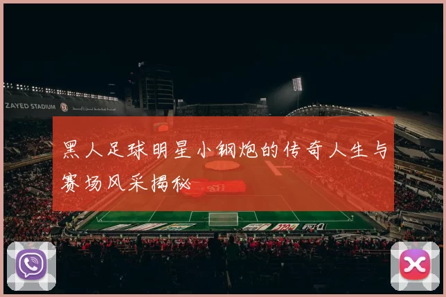 黑人足球明星小钢炮的传奇人生与赛场风采揭秘