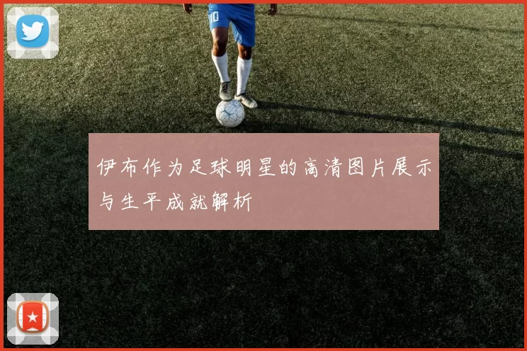 伊布作为足球明星的高清图片展示与生平成就解析