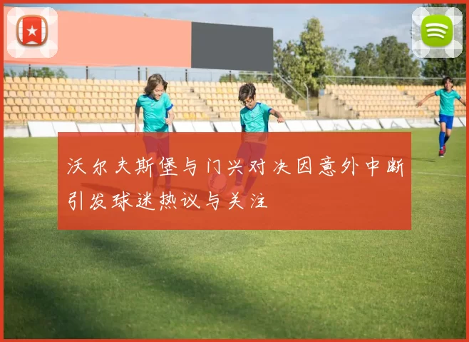 沃尔夫斯堡与门兴对决因意外中断引发球迷热议与关注