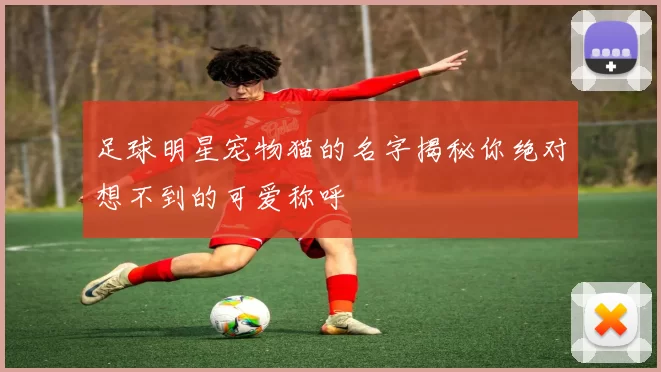 足球明星宠物猫的名字揭秘你绝对想不到的可爱称呼