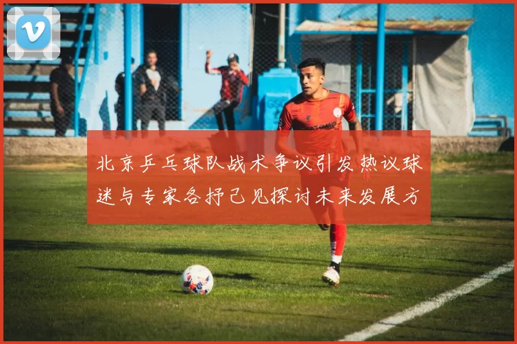 北京乒乓球队战术争议引发热议球迷与专家各抒己见探讨未来发展方向