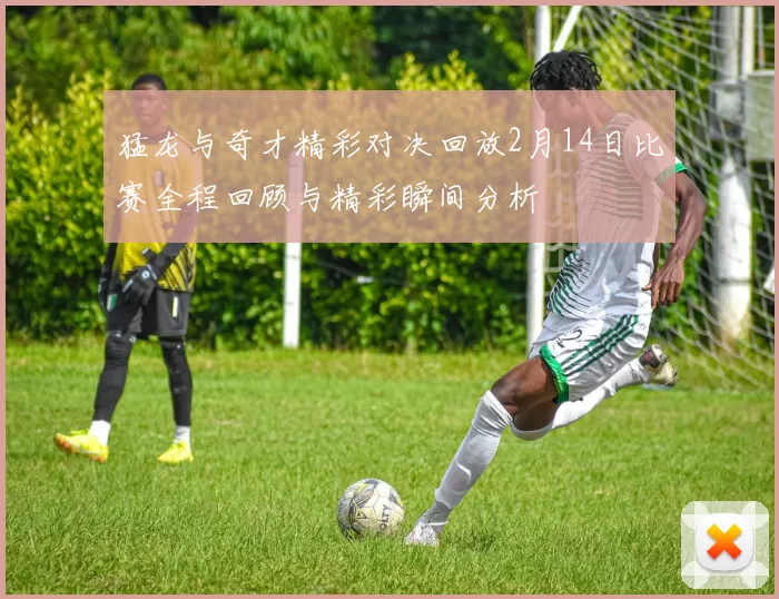 猛龙与奇才精彩对决回放2月14日比赛全程回顾与精彩瞬间分析