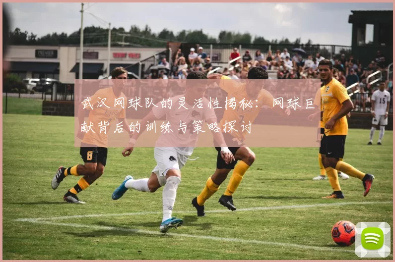 武汉网球队的灵活性揭秘：网球巨献背后的训练与策略探讨