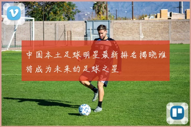 中国本土足球明星最新排名揭晓谁将成为未来的足球之星