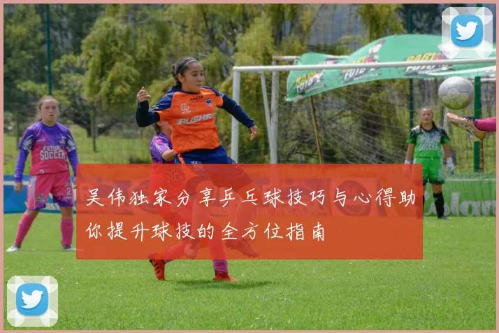 吴伟独家分享乒乓球技巧与心得助你提升球技的全方位指南