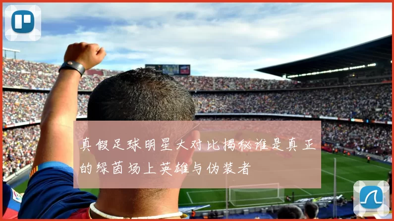 真假足球明星大对比揭秘谁是真正的绿茵场上英雄与伪装者