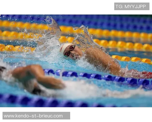 自由泳技术全面解析：从入水到出水的每个细节与技巧优化