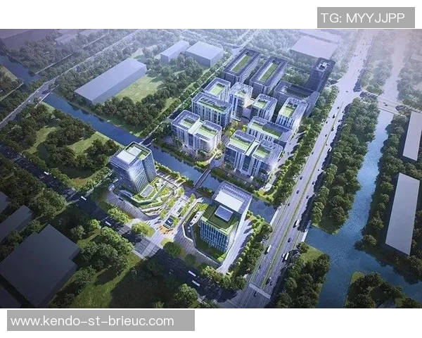 聚焦卓越成就与个人突破探索全新发展路径