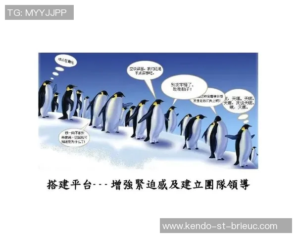杨秀英深度解析CSGO游戏技巧与心得分享，助你提升战斗力